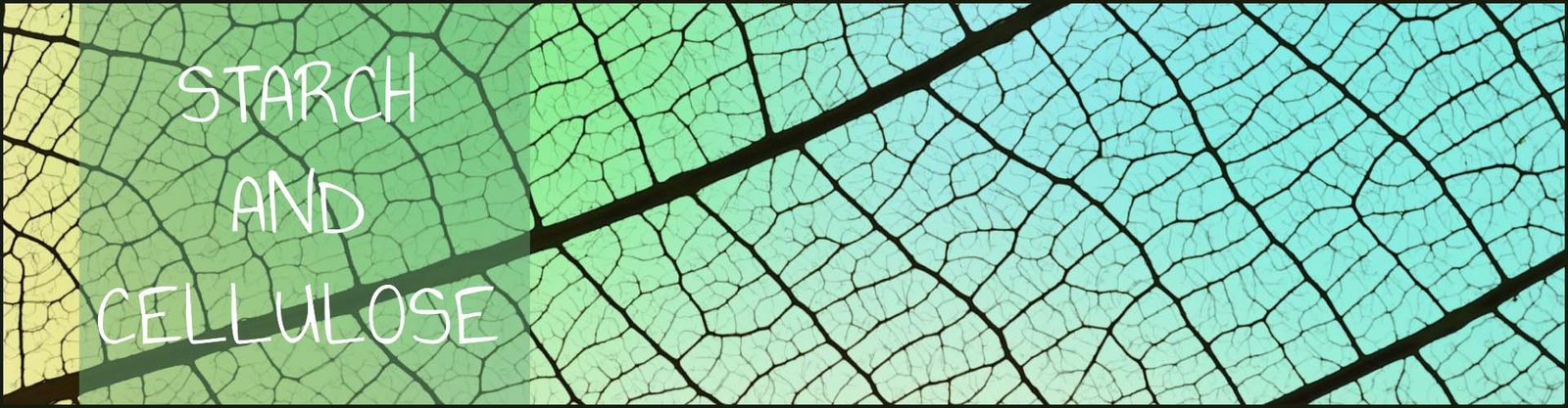 natural polymers